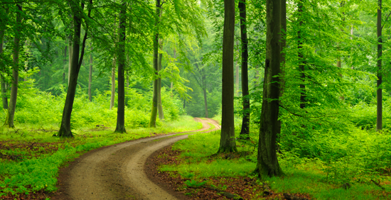 Retirement Journey